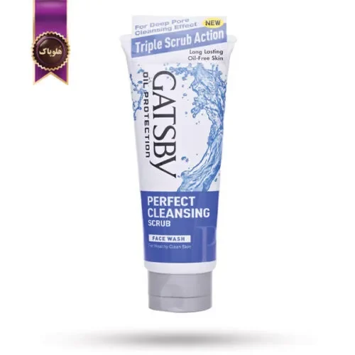 فوم شستشو گتسبی Gatsby مدل پاکسازی کامل Perfect Cleansing حجم 120 میلی لیتر (اورجینال)