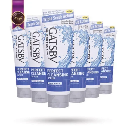 6 عدد فوم شستشو گتسبی Gatsby مدل پاکسازی کامل Perfect Cleansing حجم 120 میلی لیتر (اورجینال)