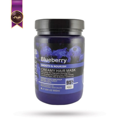 ماسک مو میگ mige مدل بلوبری Blueberry حجم 800 میلی لیتر