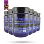 6 عدد ماسک مو میگ mige مدل بلوبری Blueberry حجم 800 میلی لیتر