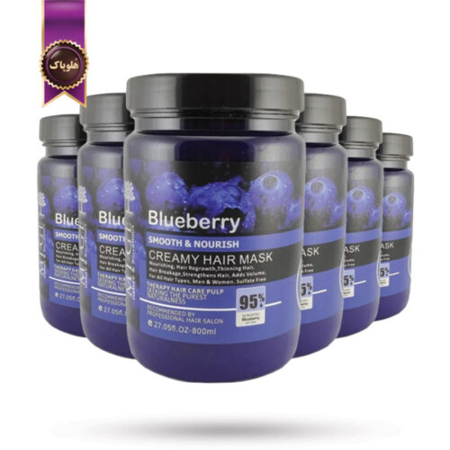 6 عدد ماسک مو میگ mige مدل بلوبری Blueberry حجم 800 میلی لیتر