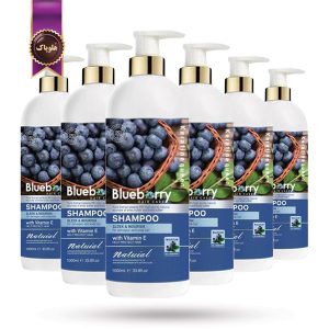 6 عدد شامپو کراتین کویین Keratine Queen مدل بلوبری Blueberry حجم 800 میلی لیتر (اورجینال)
